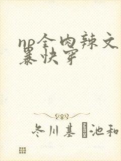 np全肉辣文粗暴快穿