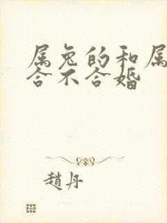 属兔的和属猪的合不合婚