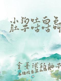 小狗吐白色粘液肚子咕咕叫