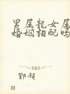 男属龙女属牛的婚姻相配吗