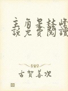 主角是林峰的小说免费阅读