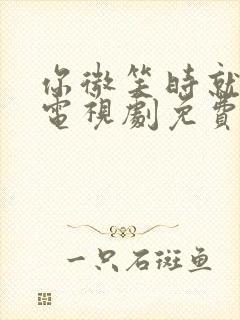 你微笑时就很美电视剧免费