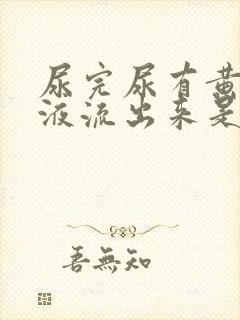 尿完尿有黄色粘液流出来是怎么回事?