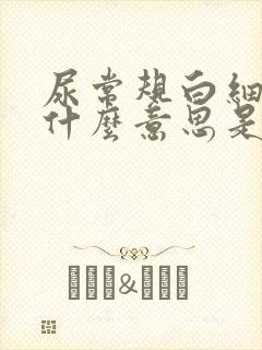 尿常规白细胞是什么意思是咋回事