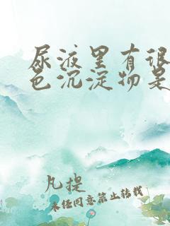 尿液里有很多白色沉淀物是什么原因