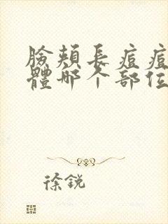 脸颊长痘痘是身体哪个部位有问题