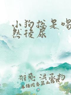 小狗总是喝水 然后尿