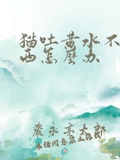 猫吐黄水不吃东西怎么办