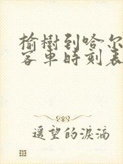 榆树到哈尔滨的客车时刻表