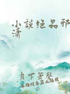 小说绝品邪少叶潇