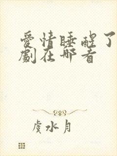 爱情睡醒了电视剧在哪看