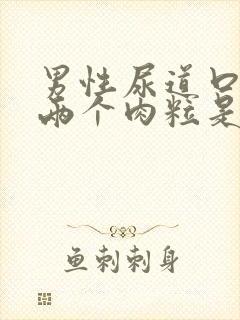 男性尿道口长了两个肉粒是怎么回事