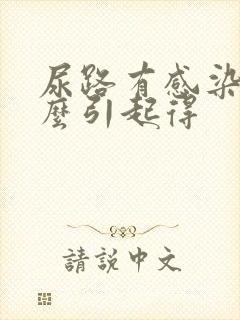 尿路有感染是怎么引起得