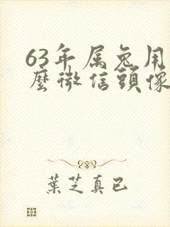 63年属兔用什么微信头像好