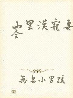 山里汉宠妻无度全