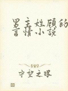 男主姓顾的现代言情小说