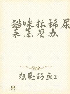 猫咪拉稀尿不出来怎么办