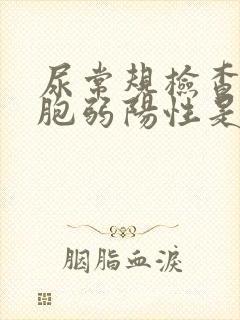 尿常规检查白细胞弱阳性是什么意思