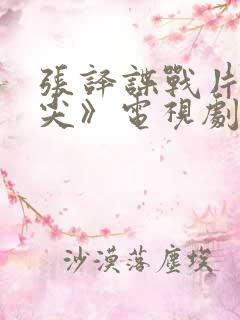 张译谍战片《刀尖》电视剧免费观看