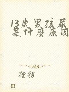 13岁男孩尿频是什么原因