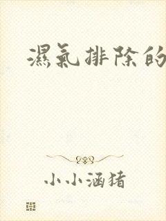 湿气排除的症状