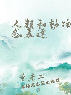 人类和动物的情感表达