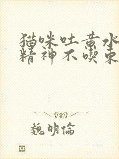 猫咪吐黄水没有精神不吃东西