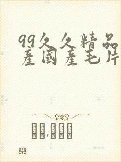 99久久精品国产国产毛片