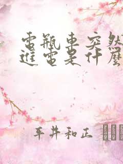 电瓶车突然充不进电是什么原因