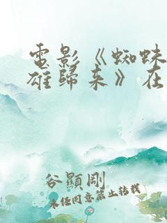 电影《蜘蛛侠英雄归来》在线观看