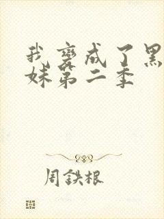 我变成了黑皮辣妹第二季