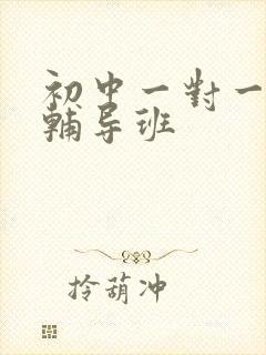 初中一对一历史辅导班