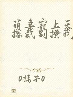 萌妻宠上天腹黑总裁别撩我