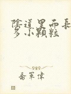 阴道里面长了好多小颗粒