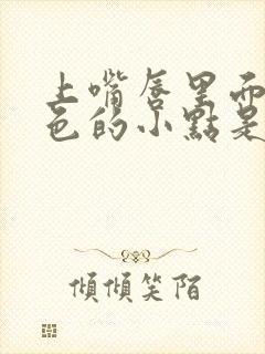 上嘴唇里面有白色的小点是什么原因