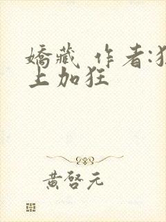 娇藏 作者:狂上加狂