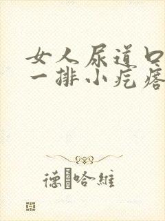 女人尿道口长了一排小疙瘩