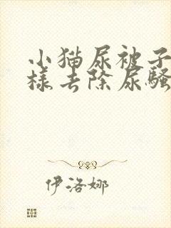 小猫尿被子上怎样去除尿骚味