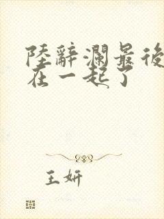 陆辞澜最后和谁在一起了