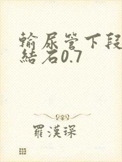 输尿管下段出现结石0.7