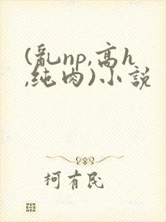 (乱np,高h,纯肉)小说