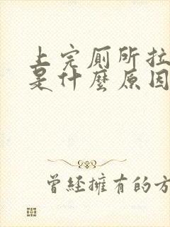 上完厕所拉出血是什么原因