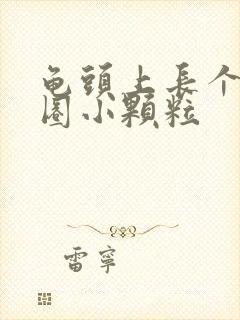 龟头上长个了一圈小颗粒