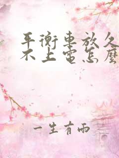 平衡车放久了充不上电怎么办