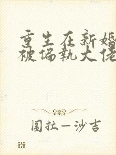 重生在新婚之夜被偏执大佬亲疯了