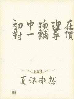 初中物理在线一对一辅导价格