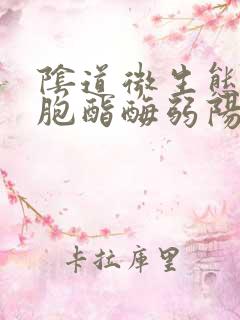 阴道微生态白细胞酯酶弱阳性