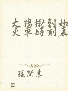 大杨树到嫩江的火车时刻表