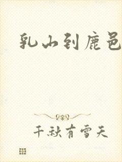 乳山到鹿邑客车