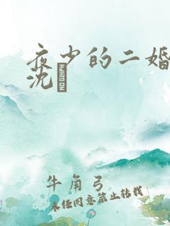 夜少的二婚新妻沈趐